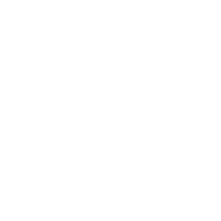 Логотип NetApp