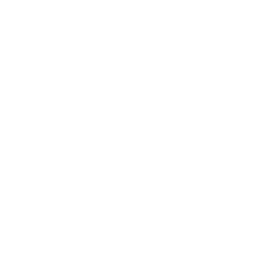 Логотип American International Group