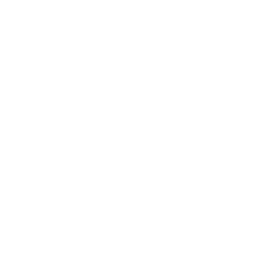Логотип D. R. Horton