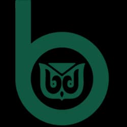 Логотип W. R. Berkley